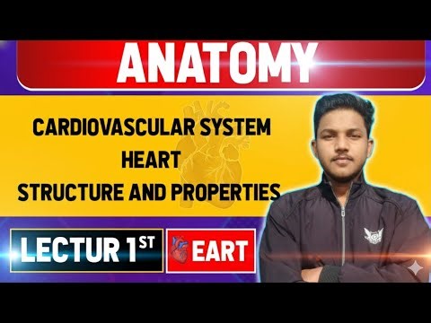 Cardiovascular System – Lecture 1 | Structure & Properties of Heart | Anatomy