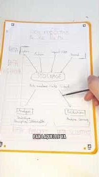 The different jobs and professions in DATA 👨‍💻 #data #job #tutorial