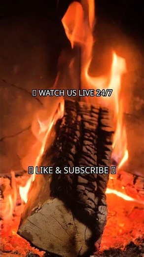 Vibe Check 🎶🔥 #Shorts