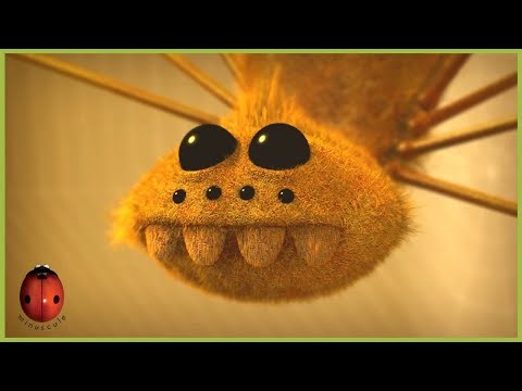 Chocolate Fly | Minuscule 🍃 15' Compilation