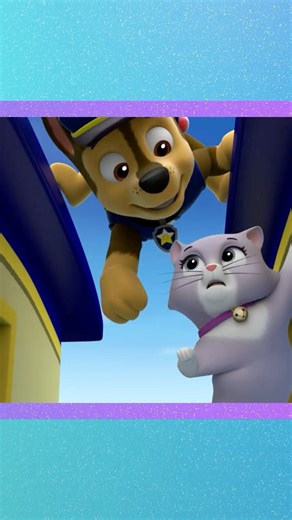 a baby kitten is stuck on a runaway train! #pawpatrol #shorts