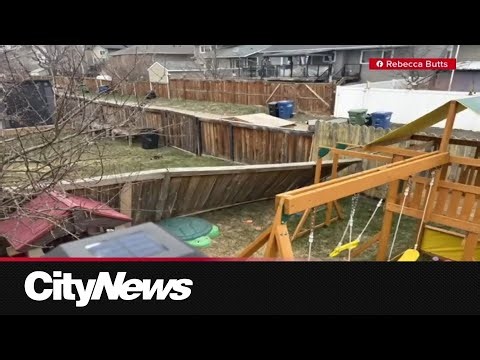 Wild winds hit Calgary: Power lines down, a flying trampoline and traffic chaos