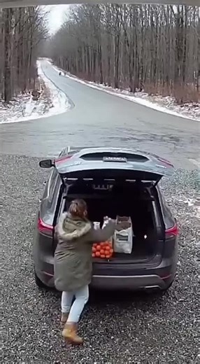 Exploring the Smart Robot Revolution