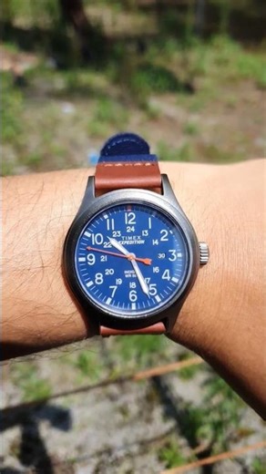 Timex Expedition TW4B14100 in Dino Park Adventure! #timex #dinosaur #watchcollector #expedition