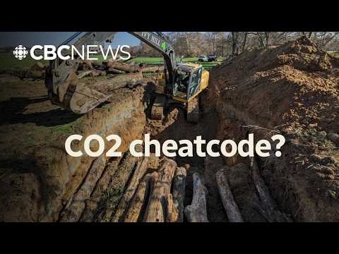 Can we just bury our excess CO2?