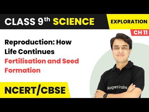 Fertilisation and Seed Formation - Reproduction: How Life Continue | Class 9 Science | Ch 11 | CBSE