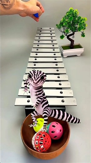 This Is TOO SATISFYING 🤯🔥 Marble Run & Ball Drop ASMR | Part 20 #shorts