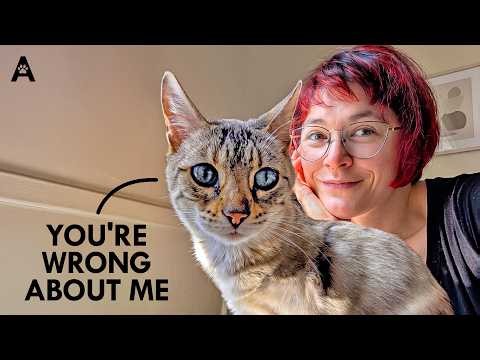 We've Been Wrong About Cats This Whole Time