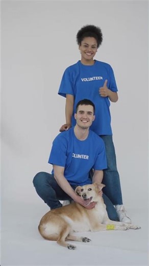 Why do insurance companies care about your credit score? They use it t #Shorts