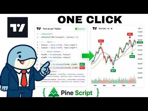 What is Pine Script? TradingView Explained