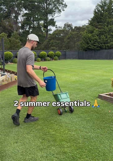 Effective Lawn Care Tips for Healthy Growth