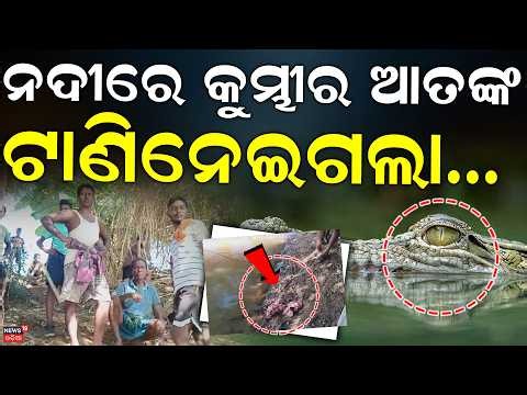Crocodile Attack News | ଟାଣିନେଲା କୁମ୍ଭୀର | Crocodile Attacks Old Man in Khasrota River | Jajpur News