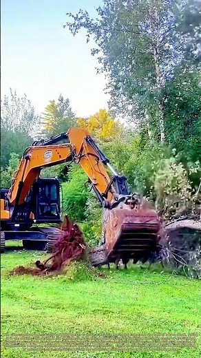 Undercutting Gravity: A Single Scoop's Strategic Strike