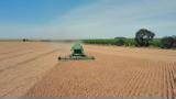 Drought, disease and diesel drives up farm costs | Morning in America
