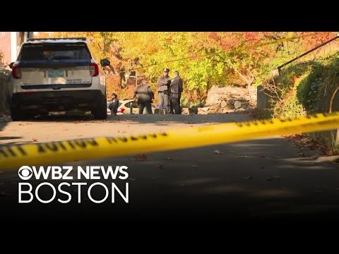 Boston police shoot person in Brighton