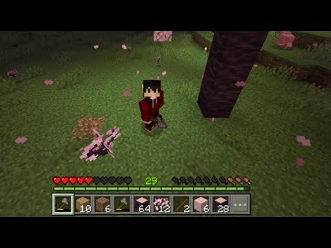 minecraft smp Live