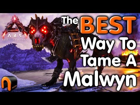 Ark How To Tame A MALWYN & Abilities!