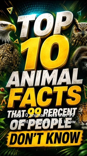 Top 10 facts about animals that 99% of people don't know