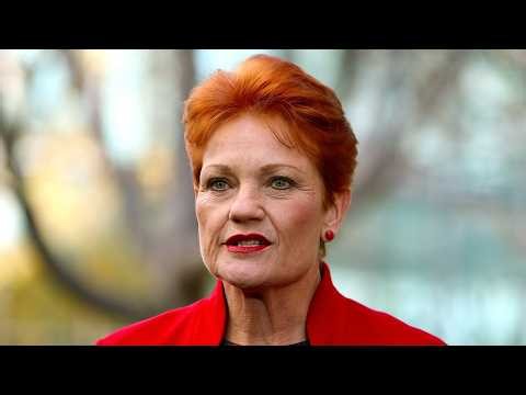 News24 Pulse: One Nation reverses trend of falling support
