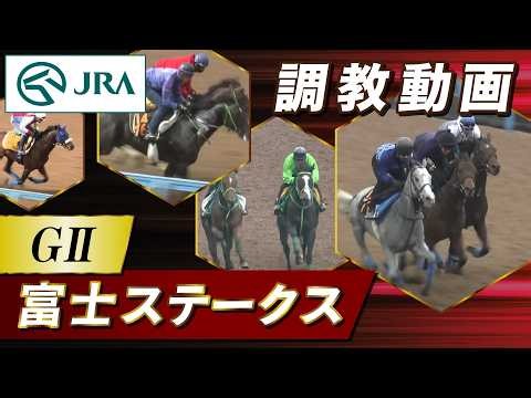 【調教動画】2026年 富士ステークス｜JRA公式