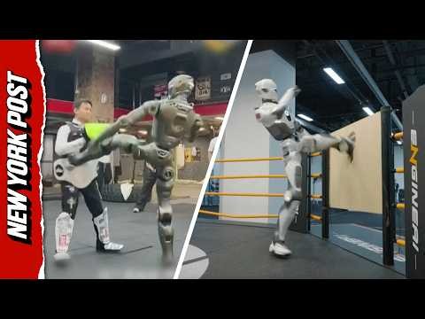 Humanoid Robot Delivers Knockout Blow To Company CEO