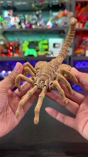 Thank you 52Toys for making ALIEN Facehugger & Egg wind-up toys. Can we have a Chestburster next? #Alien #Facehugger #Xenomorph #52Toys #Geek
