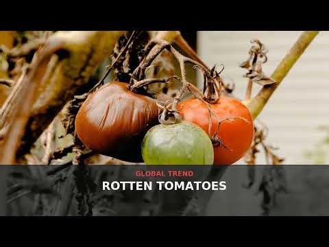 Rotten Tomatoes Trends: Why the Review Site Is in the Spotlight | October 2026 | NewsDrop