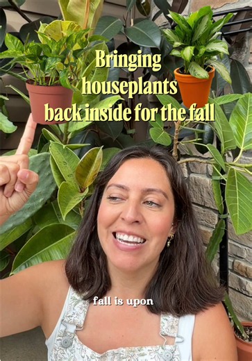 Bringing Plants Outside in Spring: Benefits and How to Rotate Them