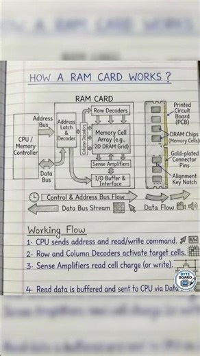 What Does RAM Do?