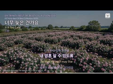 너무 늦은 건가요 (Is It Too Late) | 09_Trinity_Best_Of_Best_Collection(3CD) | 소향 | with. lyrics