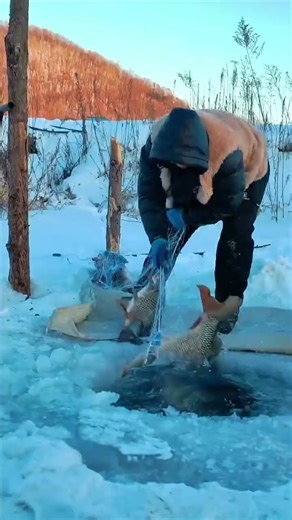 Winter ice fishing: How to catch big fish with a drag net