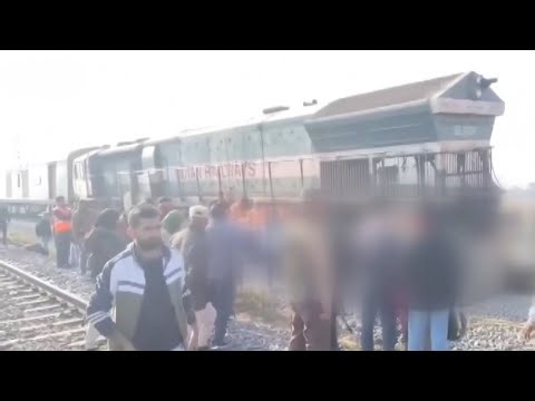 At least seven elephants killed in train crash in northeast India