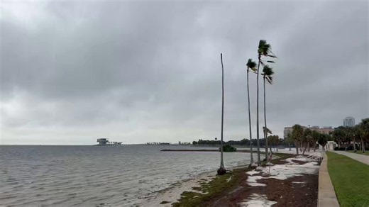 10/9/26: Tampa Bay Weather Hurricane/cold front: impacts/analysis: #hurricane #hurricaneseason #isaias #hurricaneisaias #tampabay @weathernation @weatherchannel @accuweather @AccuWeatherUGC @StoryfulNews @cnn @foxnews @msnbc @paulfox13 @NWSTampaBay @DenisPhillipsWx @NashWX https://t.co/rk6uTyn2uN