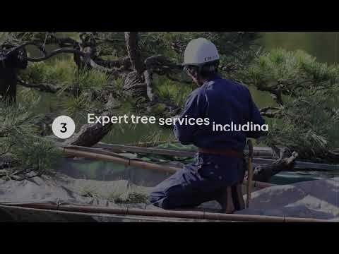 Tree Trimming Near Me by Truco Services Inc