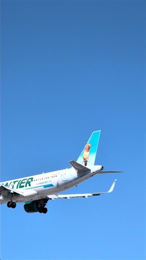 planespotting LAX Flower the hummingbird Frontier Airlines Airbus A320neo N318FR #aviation