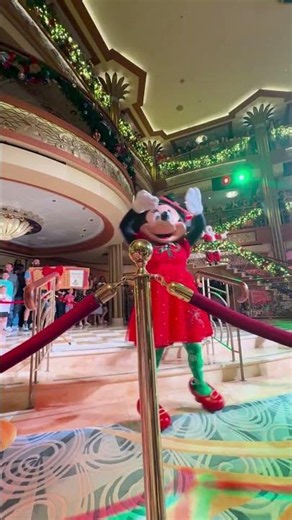Wait... THIS is what a Disney Christmas cruise actually looks?!