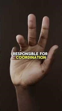 Alien Hand Syndrome: When Your Hand Moves Alone