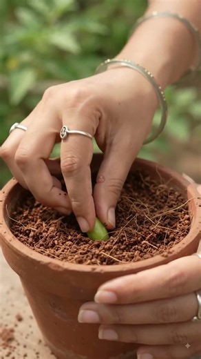🌸 5 Amazing Flower & Plant Growing Hacks for Your Home Garden! 🌿🤯 #shorts