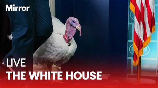 Live: Trump pardons Thanksgiving turkey