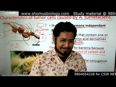 Agrobacterium mediated gene transfer method for csir net life science exam | Applied biology