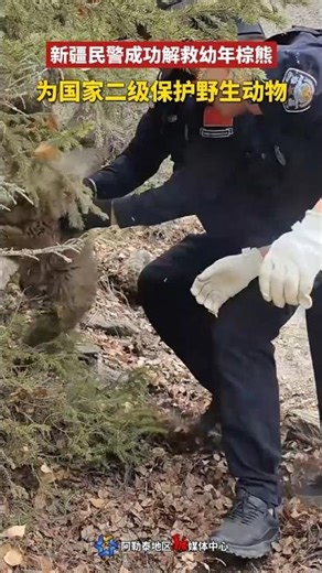 🇨🇳 新疆民警救助被困幼年棕熊，小心扩缝助国家二级保护动物脱困 🇬🇧 Xinjiang Police Rescue Trapped Brown Bear Cub
