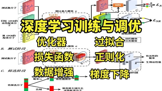 AI入门必学！深度学习训练技巧与模型优化精讲：优化器/损失函数/过拟合/正则化/数据增强/梯度下降全详解！