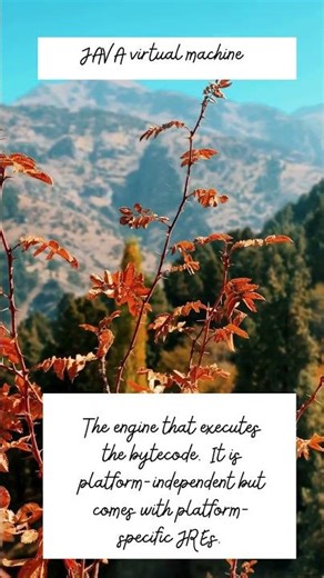 JDK vs JVM vs JRE #coding #java #jre #jvm #jdk #javabasics #javadeveloper