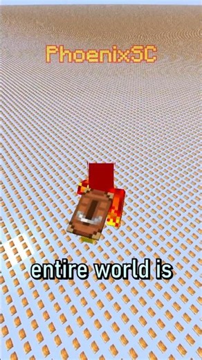Shelf Mushroom SUPERFLAT world!