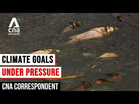 Climate Change And How The World Is Responding: Can We Still Defy The Odds? | CNA Correspondent