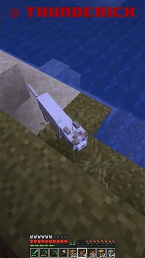 How To Tame Cats FAST in Minecraft