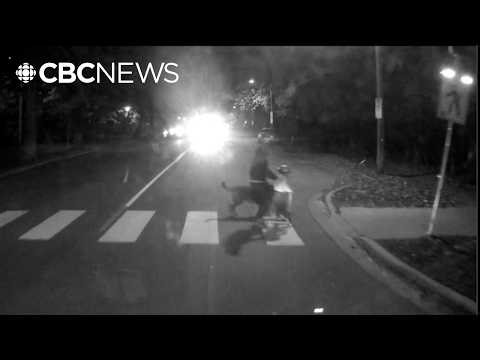 Dashcam captures Halifax transit bus nearly hit young family