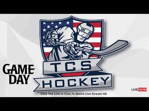 🔴𝐋𝐢𝐯𝐞 Florida Wild vs Florida Phantoms | 10U AA Ice Hockey Tampa Memorial Cup