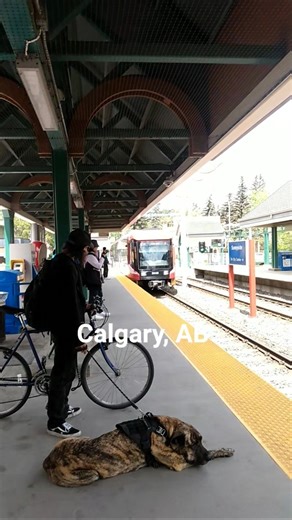Calgary Redline at Sunnyside