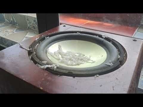 15-Year-Old Warehouse Find 12 Subwoofer Extreme Bass Test